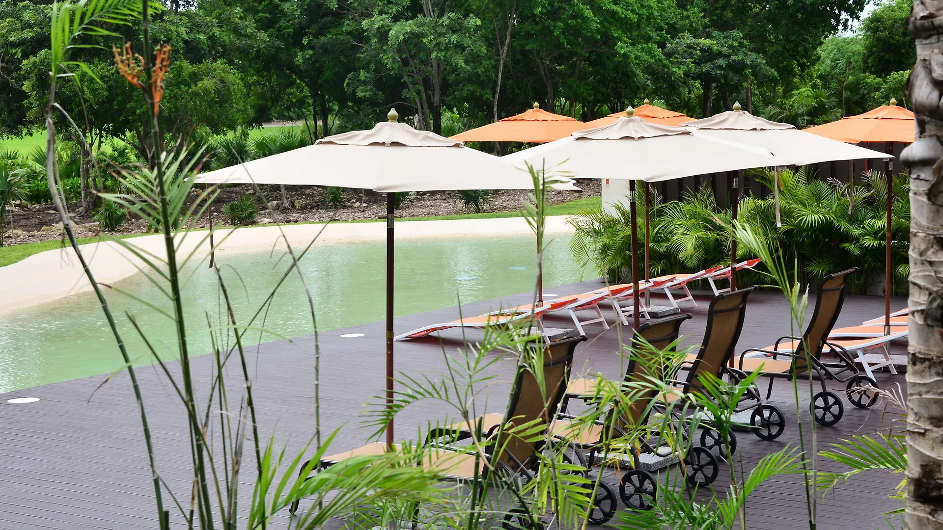 Hotel Pure All Suites Riviera Maya Playa del Carmen